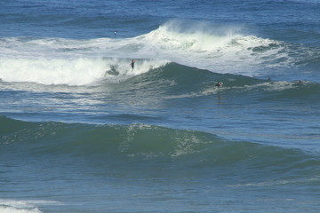 Fototapeta premium Surf Landak