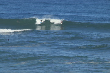 Surf Landak