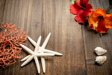 ハイビスカスとサンゴ