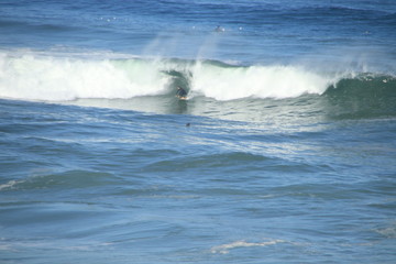 Landas Surf