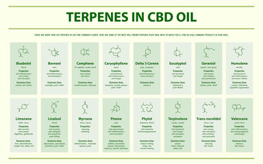 Terpenes in CBD Oil with Structural Formulas horizontal infographic illustration about cannabis as herbal alternative medicine and chemical therapy, healthcare and medical science vector.