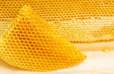 Fresh honeycombs on a light background.