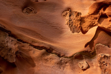 Pareidolia