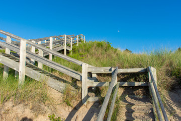 Fototapeta na wymiar A wooden staircase going down to the beach with a beautiful blue sky and marsh grass in the sand at Pinery Provincial Park, Ontario, Canada.