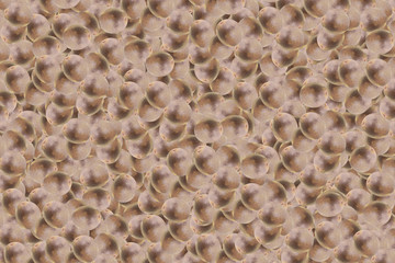 Passionsfrucht Textur