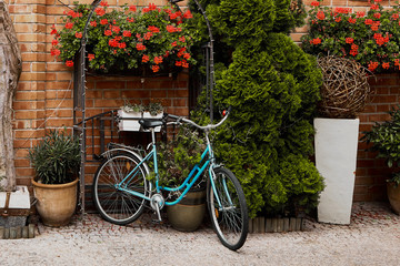 Fototapeta na wymiar Retro bicycle on brick wall with flowers, vintage bike, old town.