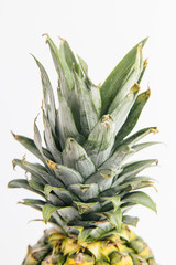 Pinapple