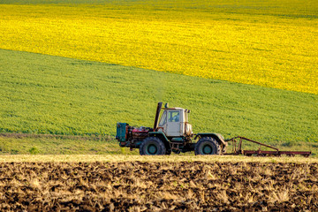 Fototapeta premium An agricultural tractor plows a field with a plow after harvested wheat. In the background are fields of sunflowers.