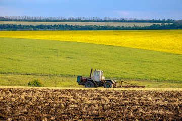 Fototapeta premium An agricultural tractor plows a field with a plow after harvested wheat. In the background are fields of sunflowers.