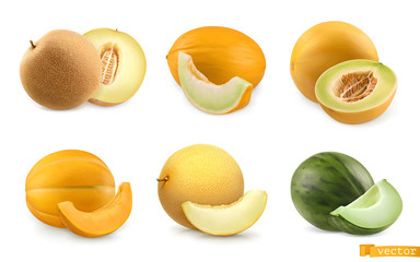 Melons, sweet fruits. 3d realistic vector icon set