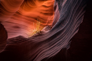Obraz premium Slot Canyon, Page Arizona USA