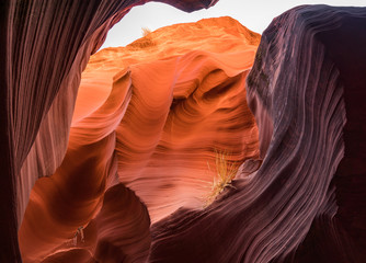 Slot Canyon, Page Arizona USA