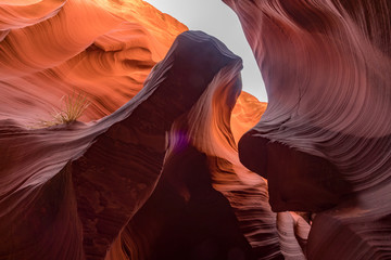 Slot Canyon, Page Arizona USA