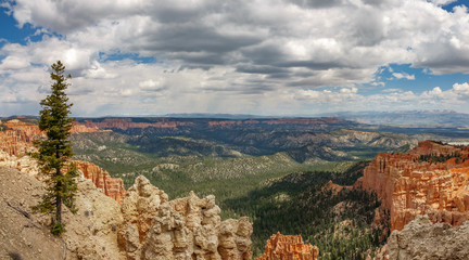 Bryce Canyon National Park Landscape