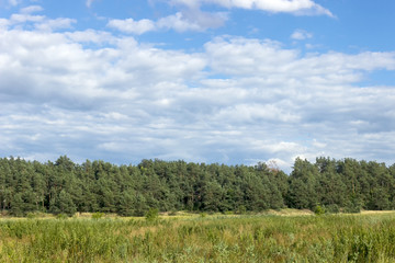 Green field and blue sky summer. Beautiful background