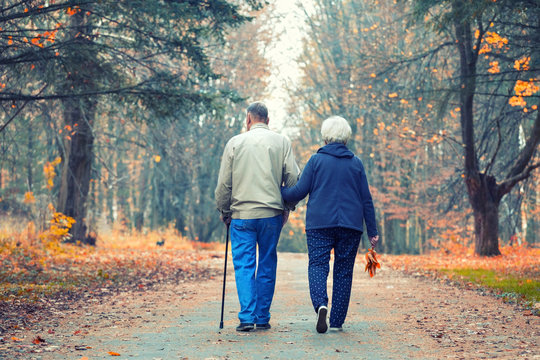 Senior couple walking in an autumn park.