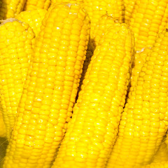 Yellow boiled corn close-up. Texture of corn seeds.