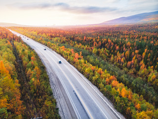 Forest autumn road with cars go sunset red, yellow trees russia, aerial view