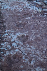 huellas de pisada de dinosaurio marcadas en la piedra