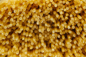 spaghetti close up