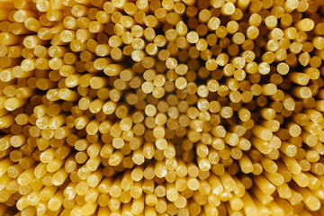 spaghetti close up