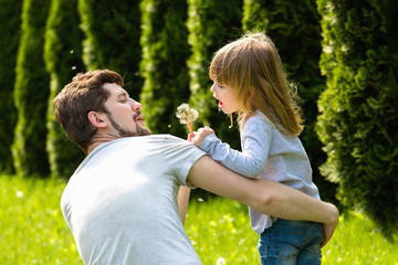 Fototapeta premium Dad and child blowing dandelion flowers to each other.