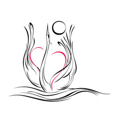 graceful swan with a big heart floats on the water and pulls its wings to the sky