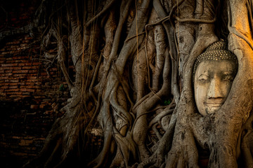 Buddha head in tree roota at wat Mahathat temple, At Ayutthaya thailand asia, Vignette and fade color effect