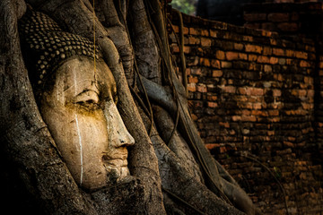 Buddha head in tree roota at wat Mahathat temple, At Ayutthaya thailand asia, Vignette and fade color effect