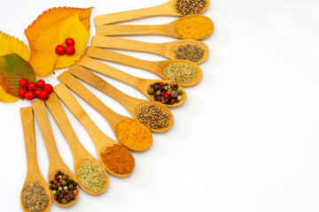 Fragrant dry spices in wooden spoons on white background. Pattern.