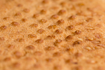 loaf of fresh wheat bread .bottom view with crumbs and flour left after baking the product, close-up, macro shot 