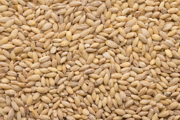 Dried pearled barley closeup , food background. Organic healthy vegetarian food. diet food concept