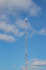 Cellular repeater, mast for broadcasting wireless communication and the Internet