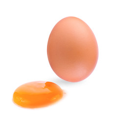 chicken egg isolated on white background.
