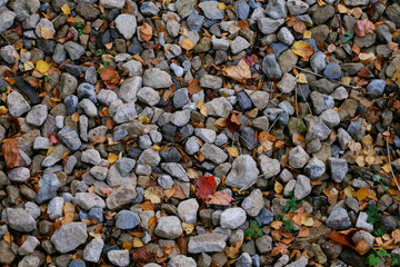 Autumn stones