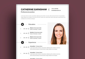 Resume Layout with Grey Frame