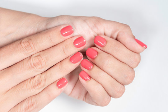 Closeup top view of two female hands with pink manicured nails isolated on white table background. Horizontal color photography.