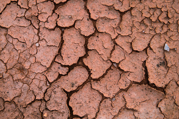 dry cracked earth texture