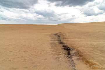 Fototapeta na wymiar Sand Dunes with blackened sand mark, Jockeys Ridge North Carolina