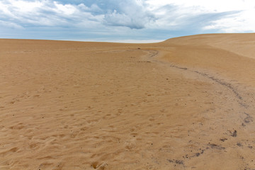 Sand Dunes, Jockeys Ridge North Carolina