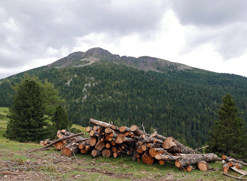 una catasta di legname con lo sfondo delle verdi dolomiti in estate