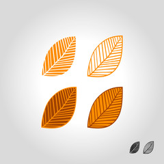 autumn leaf logo, icon and symbol vector illustration