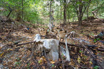 Plastic bags inside a beautiful forest. Environmental pollution.