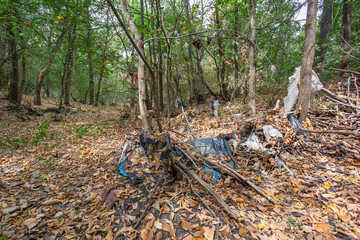Obraz premium Plastic bags inside a beautiful forest. Environmental pollution.