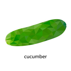 Green polygonal cucumber on white isolated background