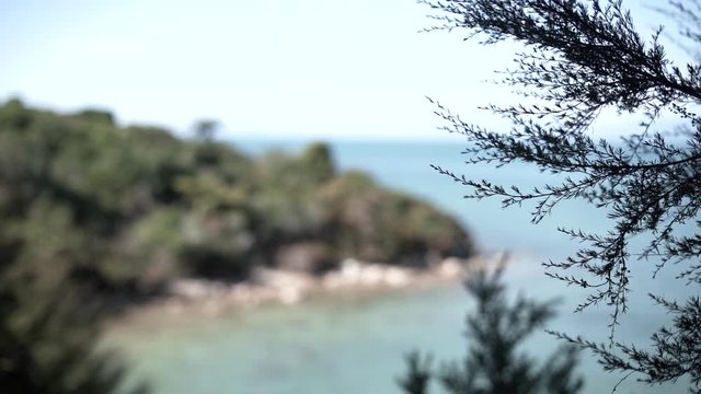amazing view of quiet seashore and rocks in abel tasman 