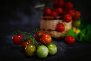Still life Fresh homegrown cherry tomatoes on dark moody background, selective focus