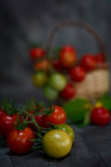 Still life Fresh homegrown cherry tomatoes on dark moody background, selective focus