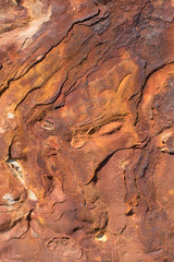 rock texture martian landscape