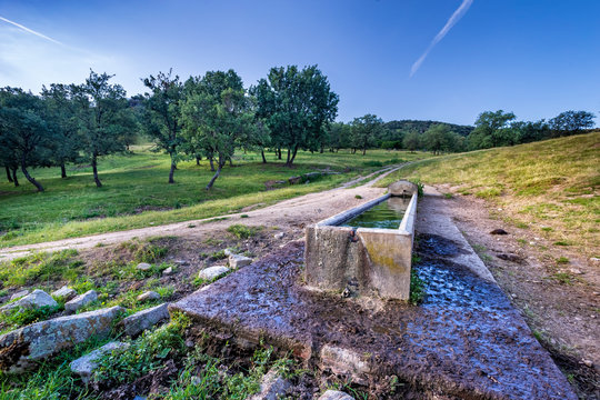 Abrevadero en las praderas de Higuera de las Due&ntilde;as. Avila. Espa&ntilde;a. Europa.
